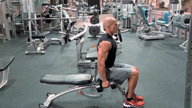 Seated Dumbbell Hammer Curl