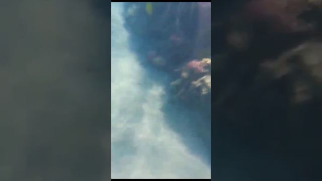 Кадры с отдыха Вани (Египет). смотреть онлайн