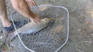 Карпа на кукан  Как сделать правильно  Рыбалка на карпа 2023 Fishing 2023.