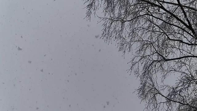 Медленно падающий снег смотреть онлайн