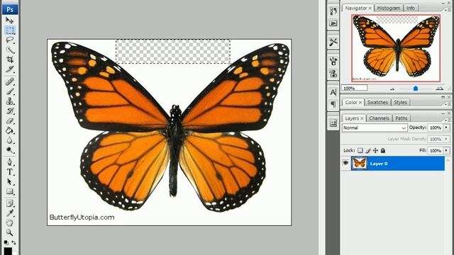 How to Edit Images in Adobe Photoshop. Part 1 смотреть онлайн