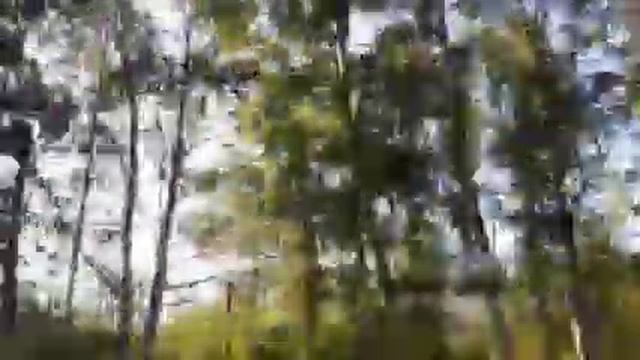 Отправлено Всеволожская до Финляндий вокзал смотреть онлайн