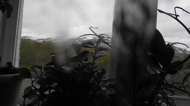 Покрыты льдом смотреть онлайн