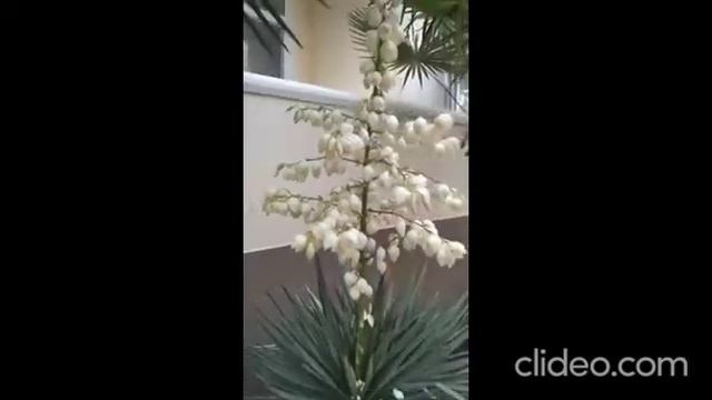 17 июня 2022 г. смотреть онлайн