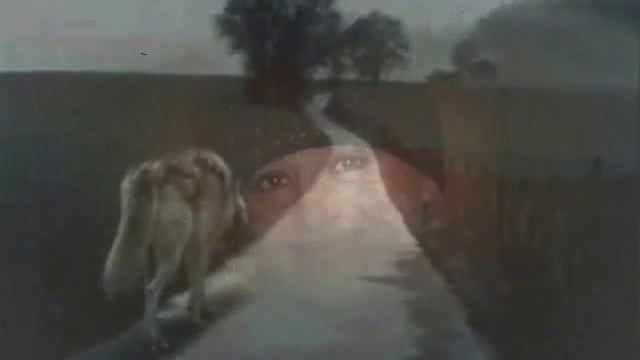 ЭКИМ КАРА - стихи ВЕРА ГИОРГАДЗЕ смотреть онлайн