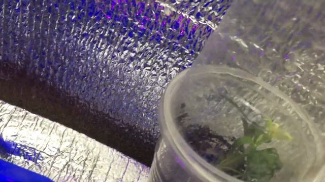 Внутренний "хомяк" ЛИКУЕТ!!!! смотреть онлайн