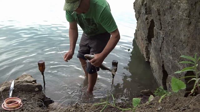 Окунь.Судак.Щука.Июнь часть 2. смотреть онлайн