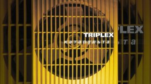 TRIPLEX Собака Баскервилей (Radio Mix).mp4