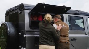 DEFENDER TRANSFORMATION! - THE ULTIMATE LAND ROVER DEFENDER 110 FOR PRO GUNDOG TRAINER JASON MAYHEW