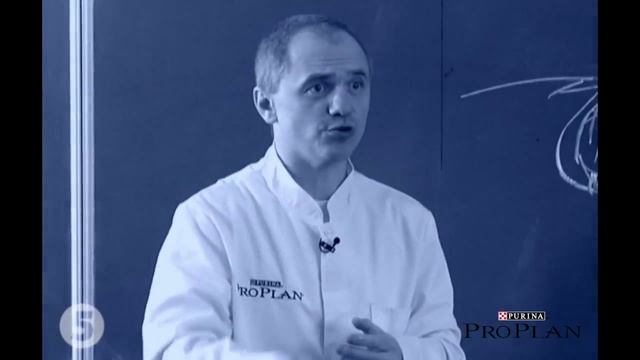 Линька у собак смотреть онлайн