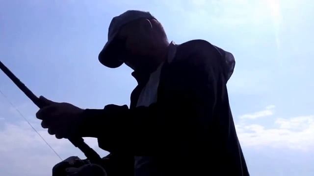 ловля сома на квок смотреть онлайн