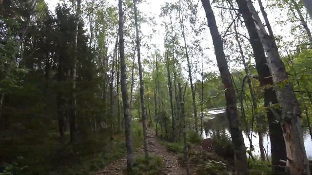 ПААНАЯРВИ КАРЕЛИЯ Водопад Киваккакоски - обзор маршрута. Вартиолампи Как правильно готовить грибы # смотреть онлайн