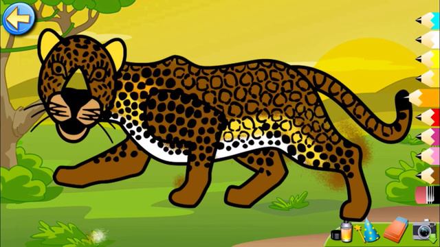 Тигр пазл 🦁Kaplan Bulmaca🐆 Tiger Puzzle 🐅टाइगर पहेली🦁 Tigre Quebra-cabeça🐆Harimau, Teka-teki,🐅