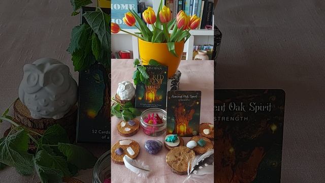 Taurus ♉ The Sacred Forest Oracle: Oak Spirit. It's about Strength. смотреть онлайн