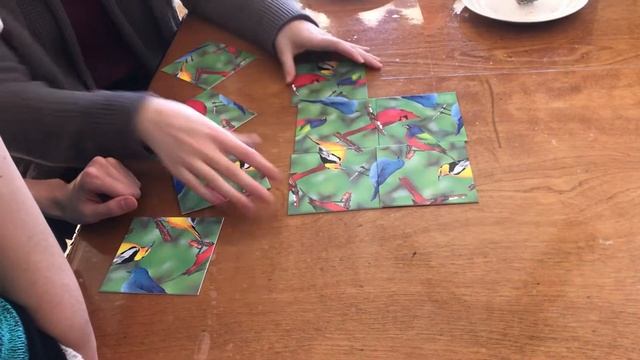 Scramble Squares 9 Square Worlds Most Difficult Puzzle Frogs & Birds Puzzles Link to Starting Squar смотреть онлайн