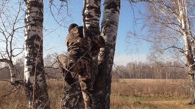 Приключения со Степой чернобылем. Кладоискатели смотреть онлайн