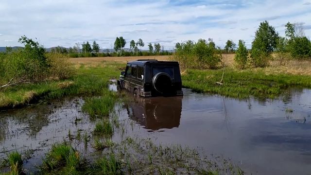 Гелики резвятся в болотинке! Mercedes Benz Gelandewagen. OffRoad
