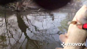 Рыбалка на раскатах. Апрель 2023 год