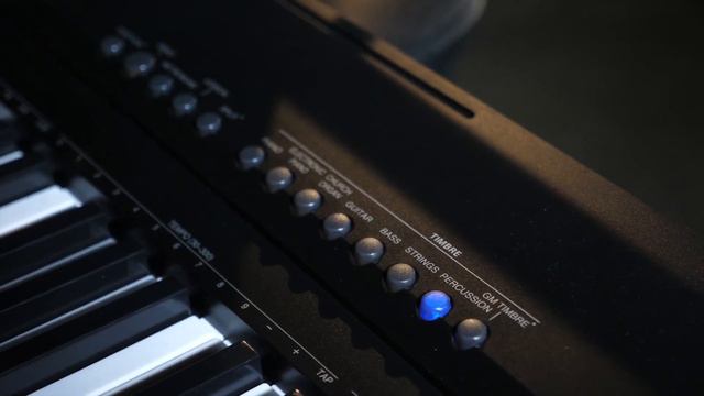 Bryce EK88 EasyPiano Tastiera 88 | Teaser Video смотреть онлайн