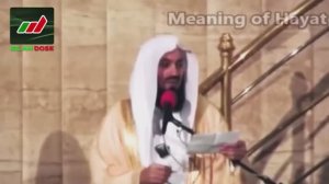 Истории Пророков 12 из 29 _ Ибрахим (Мир ему) - часть 3 из 4 _ Муфтий Менк (1)