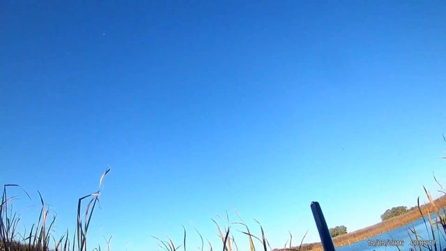 Открытие охоты. #охота #раскаты #Дельтаволги #охотанаутку #охотавАстраханскойобласти смотреть онлайн