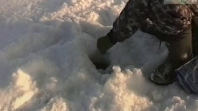 Рыбалка с Радзишевским - Рыбинск Январь 2010 смотреть онлайн