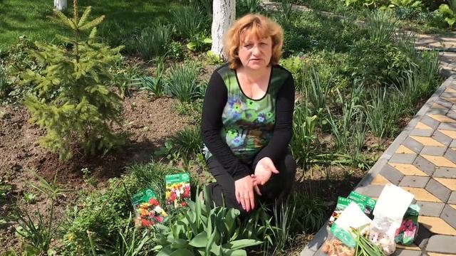 Отцвели тюльпаны! А не забудь сделать это...СОВЕТ ИЗ ГОЛЛАНДИИ смотреть онлайн