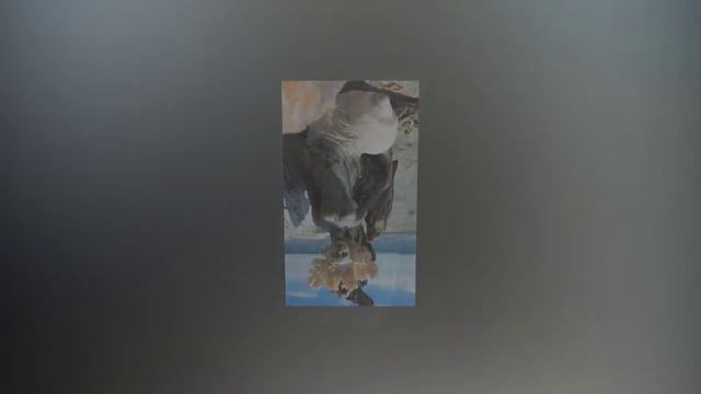 Удивительные деревянные скульптуры Дебра Бернье. Канада. смотреть онлайн