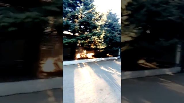 Стадион Фиолент... смотреть онлайн