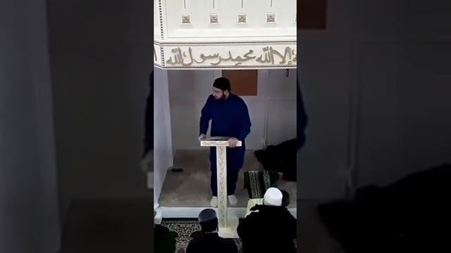 Хьехам турпал. Хаз Хьехам Хар смешной видео ял хьари юллар ма яр аш лайк кхунна йила и!
Вай бусулб смотреть онлайн