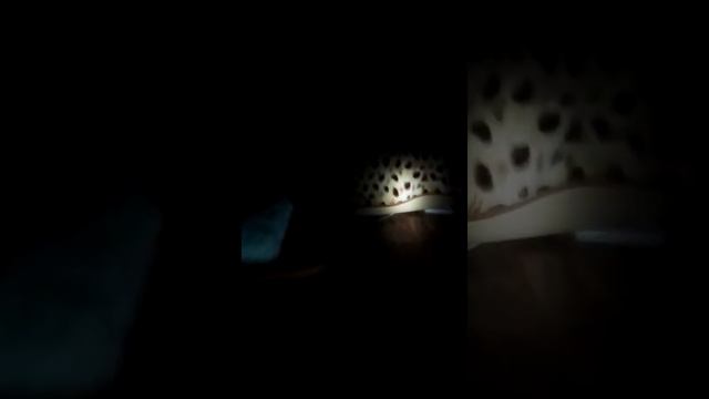 сижу без света в комнате смотреть онлайн