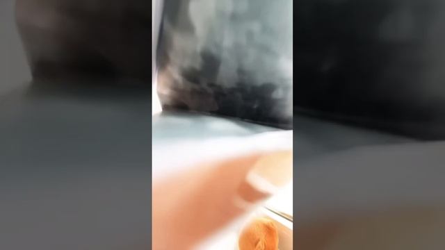 У кого есть гусь обнимусь у меня их три а вас сколько?♥️ смотреть онлайн