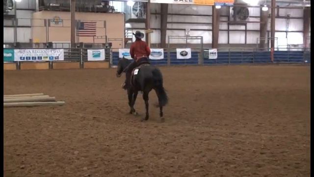 2015 Region 2 - Val Sr Ranch Riding Pattern 5 смотреть онлайн