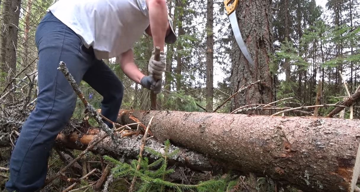 ИЗБА В ЛЕСУ- часть 1 | ЗАГОТАВЛИВАЕМ БРЕВНА | Готовим КРАПИВНЫЙ СУП