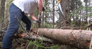 ИЗБА В ЛЕСУ- часть 1 | ЗАГОТАВЛИВАЕМ БРЕВНА | Готовим КРАПИВНЫЙ СУП