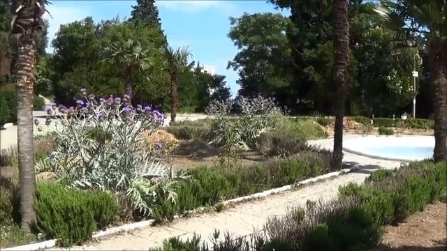 Ясная поляна смотреть онлайн