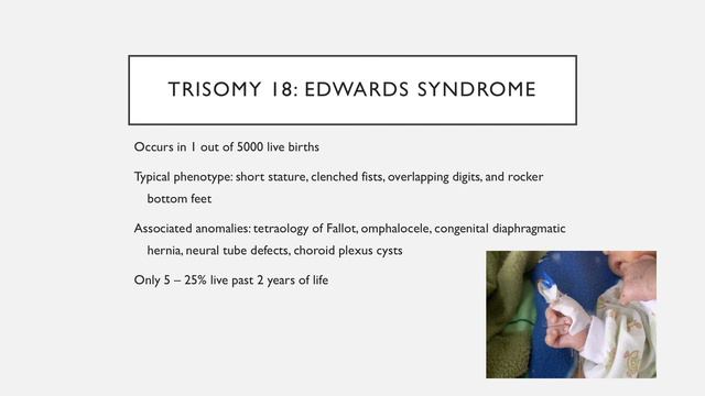 Screening During Pregnancy смотреть онлайн