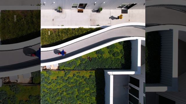 Magnolia Hill Apartments by Brooks Scarpa Architects смотреть онлайн