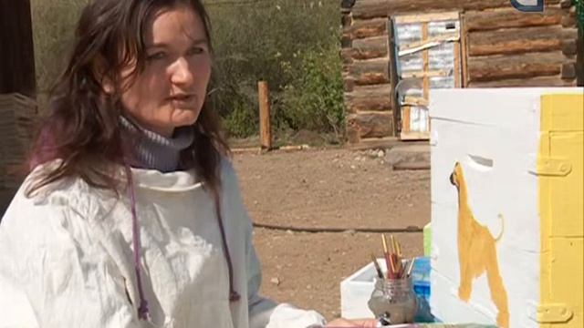 Другая жизнь. Пчелы смотреть онлайн