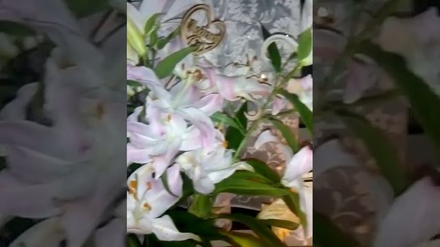 Колыбельная, стихи-С. Есенина смотреть онлайн