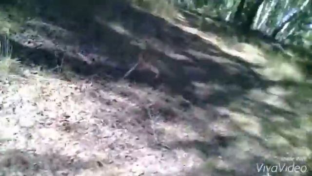 Отдых на озере #Шантропай смотреть онлайн