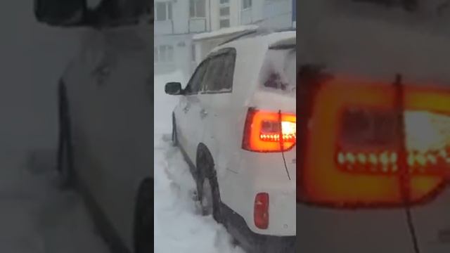 Дворовые приключения