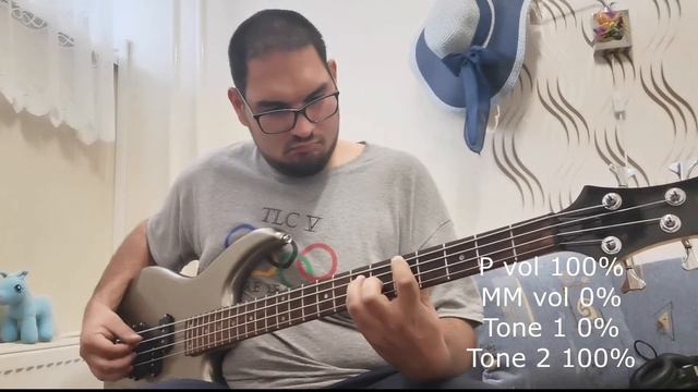 Suntech Hybrid PMM Bass/Hartke HD15 смотреть онлайн