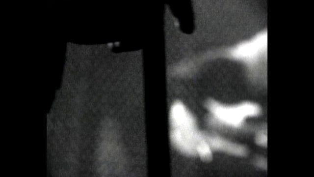 Александр Ситковецкий - Верблюды (1991) смотреть онлайн