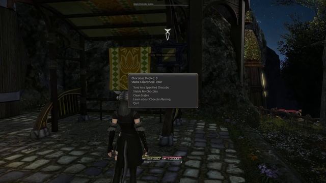 Is Your Chocobo Ready For Endwalker? | Chocobo Leveling & Skill Guide