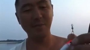 Ловля жереха и судака с бомбардой. Классная рыбалка!