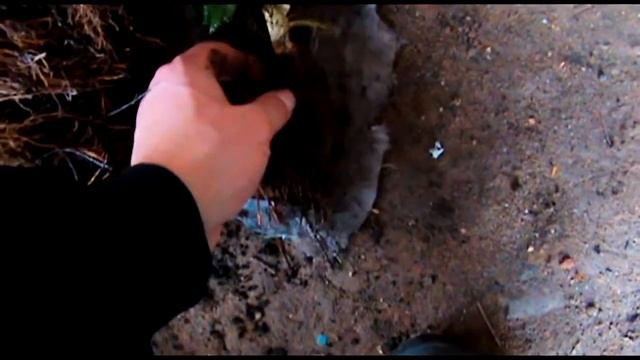 как выбрать рассаду клубники смотреть онлайн