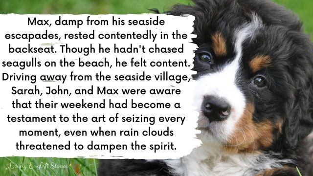 ADVANCED ENGLISH STORY ?️A Rainy Weekend?️ C1 - C2 | Level 7 - 8 | British English Practice смотреть онлайн
