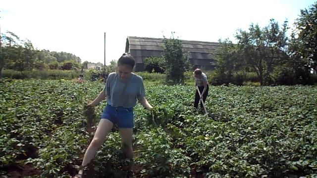 Хорошо в деревне летом) // ПРИКОЛЫ 2019// ЮМОР смотреть онлайн