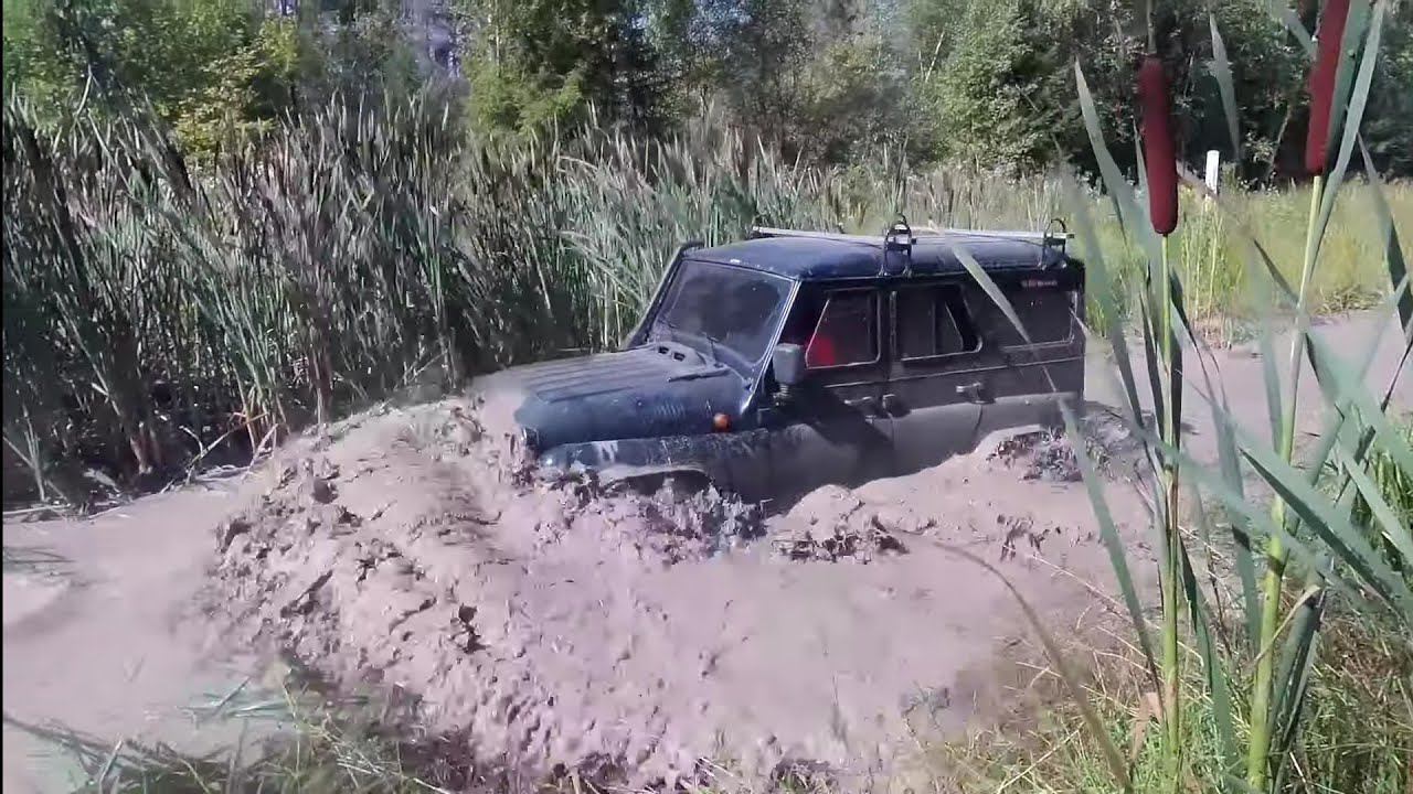 Самый сочные моменты уходящего года! смотреть онлайн